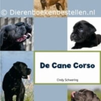 Foto 1 bij Eerste Nederlandstalige boek over de Cane Corso!