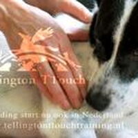 Foto 1 bij TTouch® je hond!
