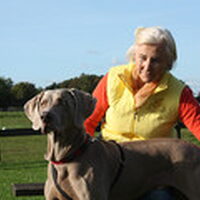 Foto 5 bij TTouch® je hond!