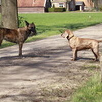 Foto 1 bij Sterilisatie