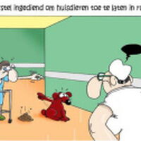 Foto 1 bij onzindelijkheid