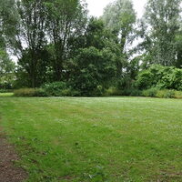 Foto 4 bij Hondenspeeltuin Bello opent haar hekken in Rotterdam