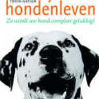 Foto 1 bij Heerlijk hondleven