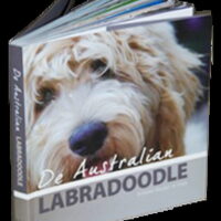 Foto 1 bij 1ste Nederlandse Australian Labradoodle boek.