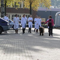 Foto 1 bij Tremoren...OT. Primaire orthostatische tremor