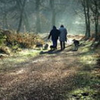 Foto 1 bij Bewegingsadvies voor de hond