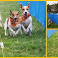 Foto 2 bij Terrier Racen.