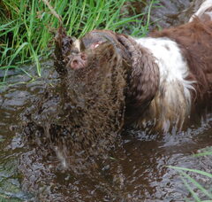 Foto 4 van ESS v.d. Jorishoeve