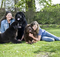 Foto 6 van kennel Procyon l'etoile du lac