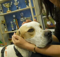 Foto 3 van REY ALEGRIA's