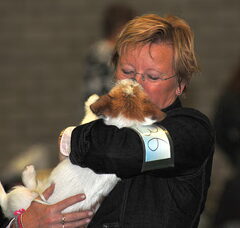 Foto 3 van Baci, JRT kennel van 't