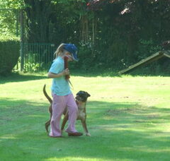 Foto 4 van Boxers van het Twentse Ros