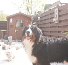 Foto 4 van De KilCliffHoeve