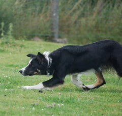 Foto 4 van Highstakes