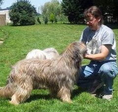 Foto 2 van de pups