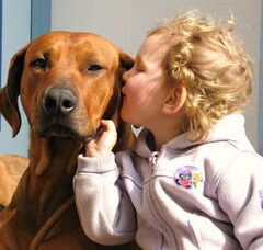 Foto 4 van de pups