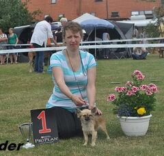Foto 4 van de pups