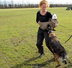 Foto 2 van Kennel Van Goeden Huize