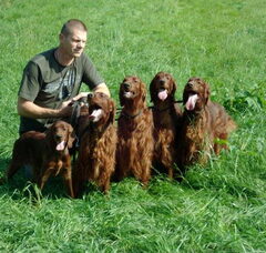 Foto 5 van de pups