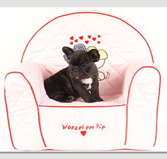 Foto 4 van From Bulls Heaven