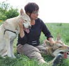 Foto 3 van saarlooswolfhonden kennel  Yumoja