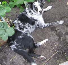 Foto 3 van Lovely Zoë