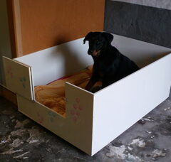 Foto 2 van BergerdelaBage
