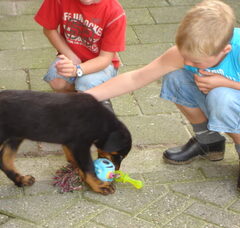 Foto 6 van BergerdelaBage