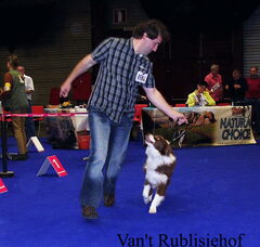 Foto 5 van de pups