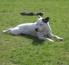 Foto 5 van Fam. Demuynck-Bonroy