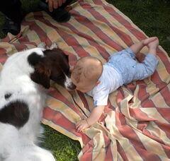 Foto 2 van de pups