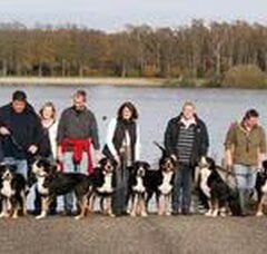 Foto 4 van Bonnebelle's Sennendoodles