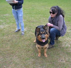 Foto 5 van farmerhouserufan, ODH Kennel
