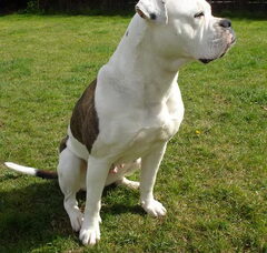 Foto 2 van Fam. Pieters