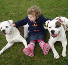 Foto 5 van Fam. Pieters