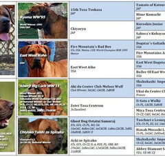 Foto 2 van de pups