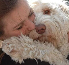 Foto 2 van Australian labradoodles Dog Sweet Dog