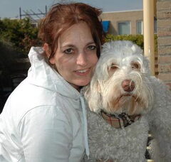 Foto 3 van Australian labradoodles Dog Sweet Dog