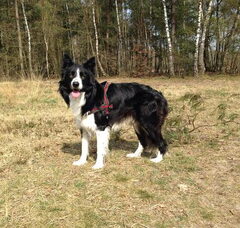 Foto 4 van Lovely Zoë