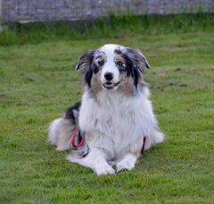 Foto 5 van Mirabelle