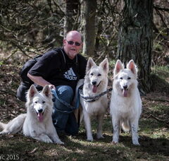 Foto 2 van Zwitserse witte herder kennel Misthy's Friends