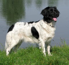 Foto 3 van Fan'e Sudewyn