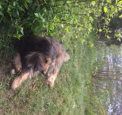 Foto 3 van zwetsloot