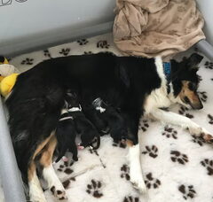 Foto 6 van From Milly So Gentle