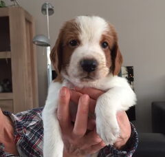 Foto 6 van Of The New Born Beauty's