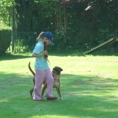 Boxers van het Twentse Ros