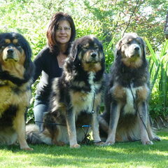 Jinâdhâra kennel