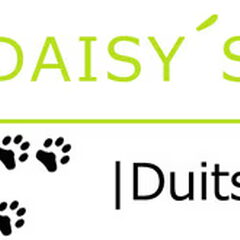 Daisy's Pride Duitse Pinschers
