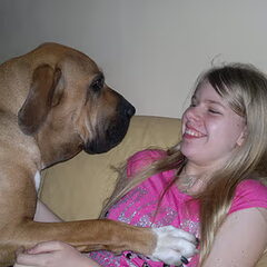Fila Brasileiro Kennel Edmundo Holland