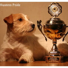 Hunters Pride, of the Jack Russell Terriers